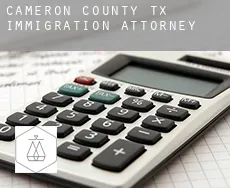 Cameron County  immigration attorney