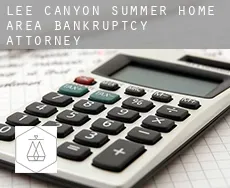 Lee Canyon Summer Home Area  bankruptcy attorney
