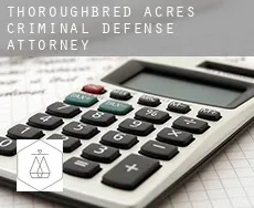 Thoroughbred Acres  criminal defense attorney