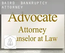 Baird  bankruptcy attorney