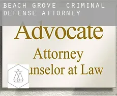 Beach Grove  criminal defense attorney