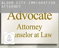 Bloom City  immigration attorney