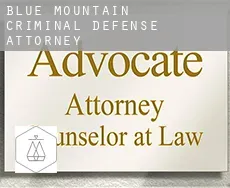 Blue Mountain  criminal defense attorney