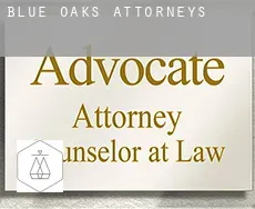 Blue Oaks  attorneys