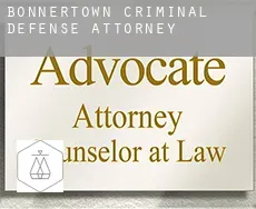 Bonnertown  criminal defense attorney