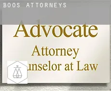 Boos  attorneys