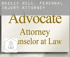 Breezy Hill  personal injury attorney