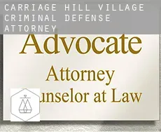 Carriage Hill Village  criminal defense attorney