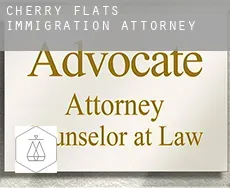 Cherry Flats  immigration attorney