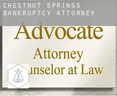 Chestnut Springs  bankruptcy attorney