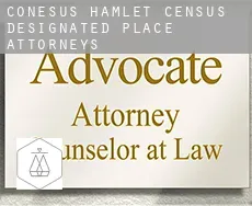 Conesus Hamlet  attorneys