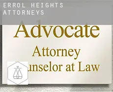 Errol Heights  attorneys