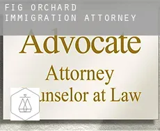 Fig Orchard  immigration attorney