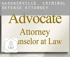 Gardnerville  criminal defense attorney