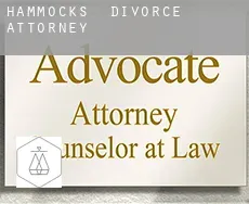 Hammocks  divorce attorney