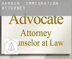 Harbor  immigration attorney