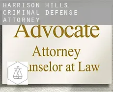 Harrison Hills  criminal defense attorney