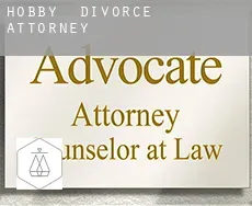 Hobby  divorce attorney