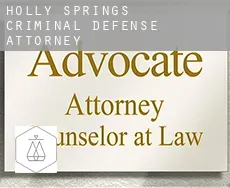 Holly Springs  criminal defense attorney