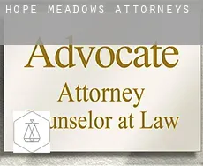 Hope Meadows  attorneys