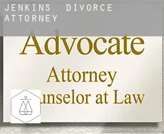 Jenkins  divorce attorney