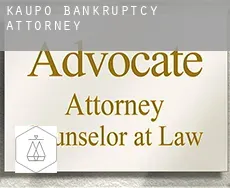Kaupō  bankruptcy attorney