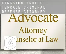 Kingston Knolls Terrace  criminal defense attorney