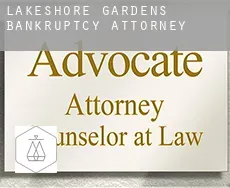 Lakeshore Gardens  bankruptcy attorney