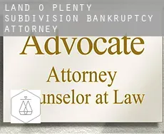 Land-O-Plenty Subdivision  bankruptcy attorney