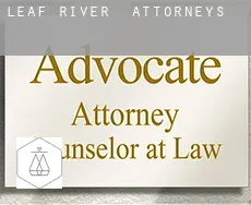 Leaf River  attorneys