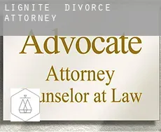 Lignite  divorce attorney