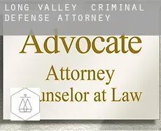 Long Valley  criminal defense attorney
