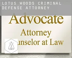 Lotus Woods  criminal defense attorney