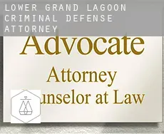 Lower Grand Lagoon  criminal defense attorney