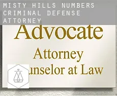 Misty Hills Numbers 1-7  criminal defense attorney