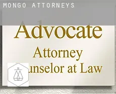 Mongo  attorneys