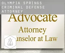 Olympia Springs  criminal defense attorney