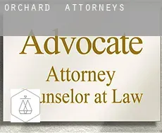 Orchard  attorneys