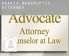 Osakis  bankruptcy attorney