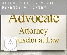 Otter Hole  criminal defense attorney