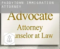 Paddytown  immigration attorney