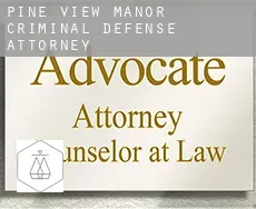 Pine View Manor  criminal defense attorney