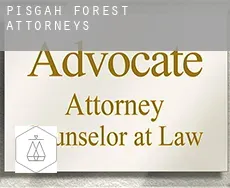 Pisgah Forest  attorneys