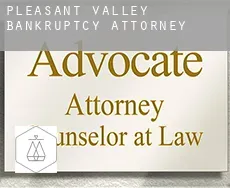 Pleasant Valley  bankruptcy attorney