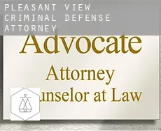 Pleasant View  criminal defense attorney