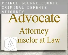Prince George County  criminal defense attorney