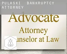 Pulaski  bankruptcy attorney