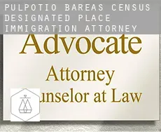 Pulpotio Bareas  immigration attorney