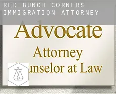 Red Bunch Corners  immigration attorney