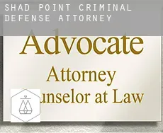 Shad Point  criminal defense attorney
